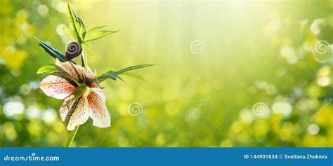 新沂地区游戏工作室合作指南 聚焦苹果策略类手游与互联网信息服务