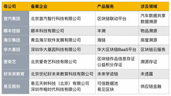 首批区块链信息服务备案名单公布，京东、爱奇艺等互联网巨头积极布局