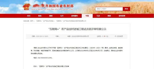 全市唯一！金乡县拟入选互联网+农产品出村进城工程试点县，新沂探索互联网游戏服务发展